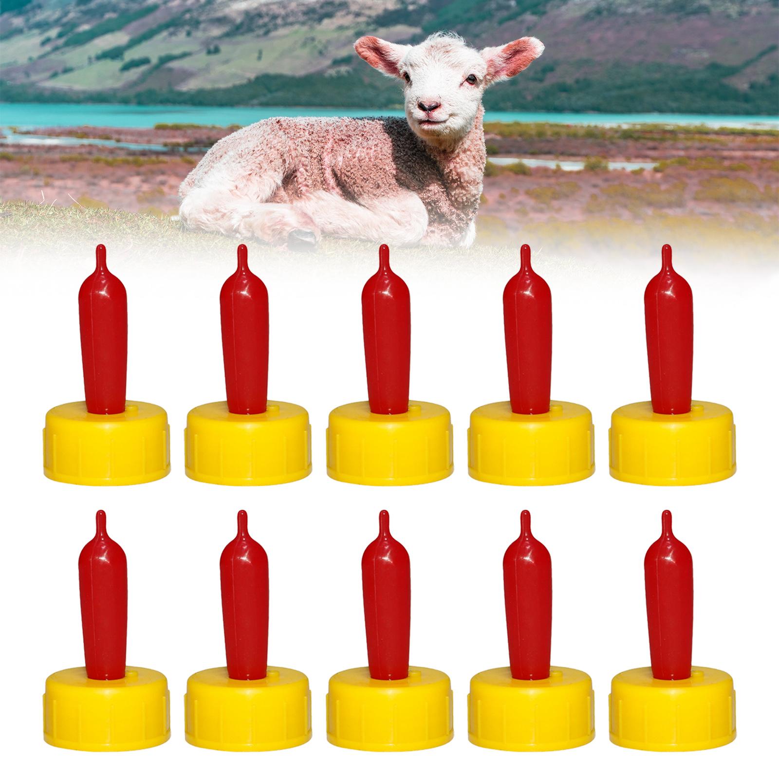 Bico de Borracha Macio para Ov - Agriculture Goat Farming avaliação e preço