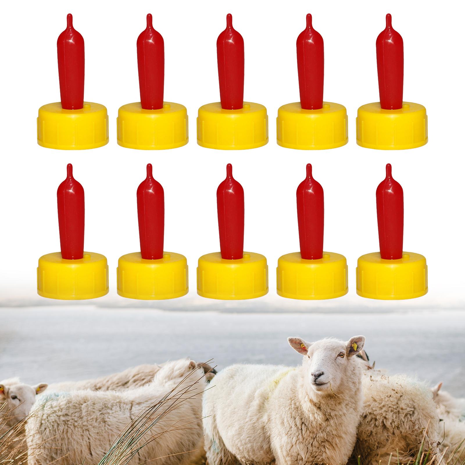 Bico de Borracha Macio para Ov - Agriculture Goat Farming avaliação e preço