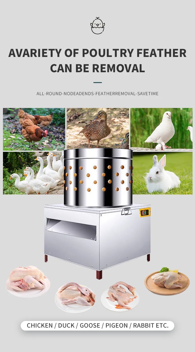 Máquina de Desplumagem de Fran - Chicken Plucker Machine avaliação e preço