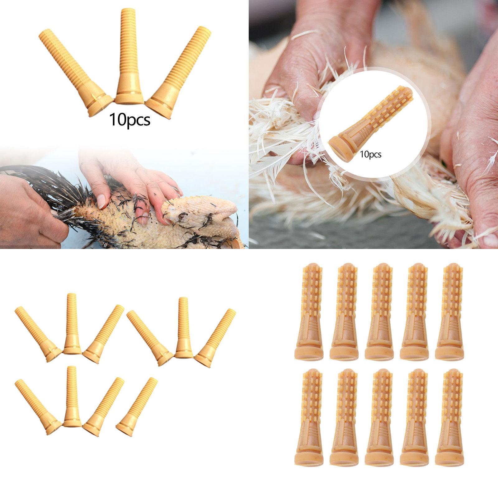 Peças para Máquina Depenadora  - Chicken Plucker Machine avaliação e preço