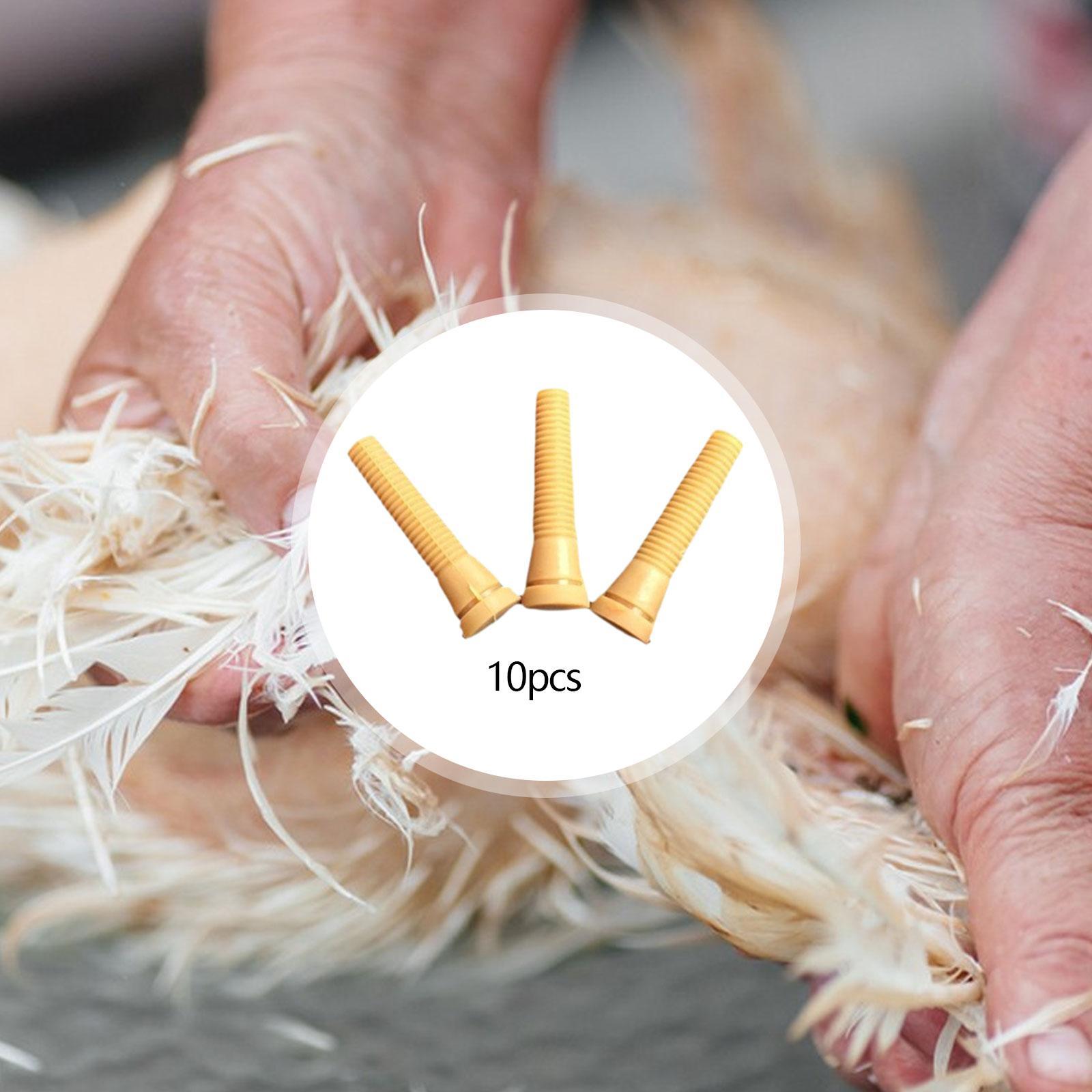 Peças para Máquina Depenadora  - Chicken Plucker Machine avaliação e preço