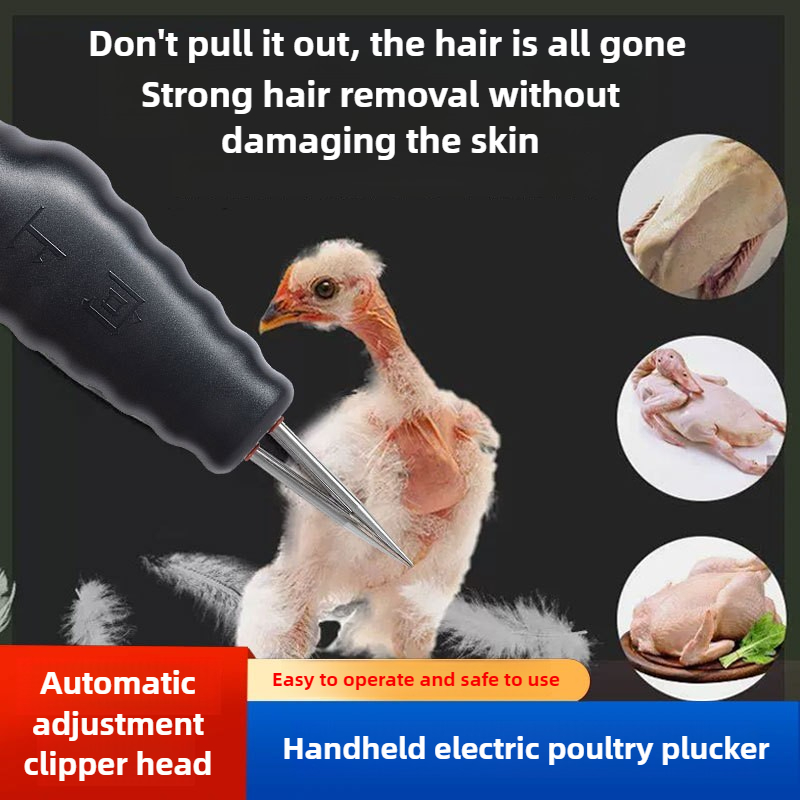 Depenador Elétrico Portátil de - Chicken Plucker Machine avaliação e preço