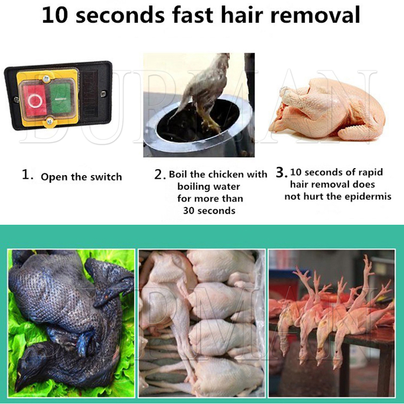 Nova codorna pombos pássaro má - Chicken Plucker Machine avaliação e preço
