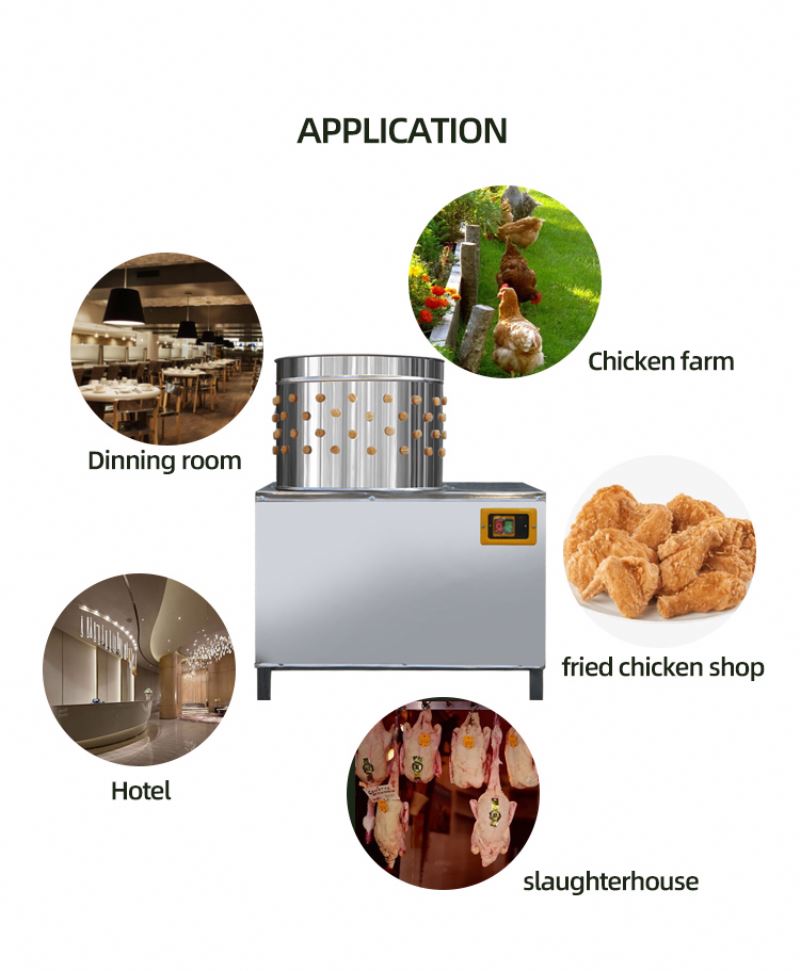 Máquina de Abate de Frangos e  - Chicken Plucker Machine avaliação e preço
